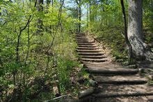 加拿大皇家植物园 加拿大皇家植物园