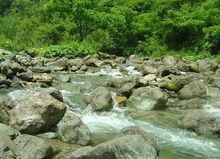 神农架自然保护区 神农架自然保护区