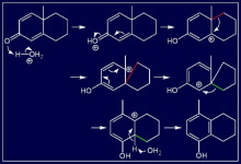 Wagner-Meerwein重排反应 Wagner-Meerwein重排反应