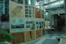 加拿大皇家植物园 加拿大皇家植物园