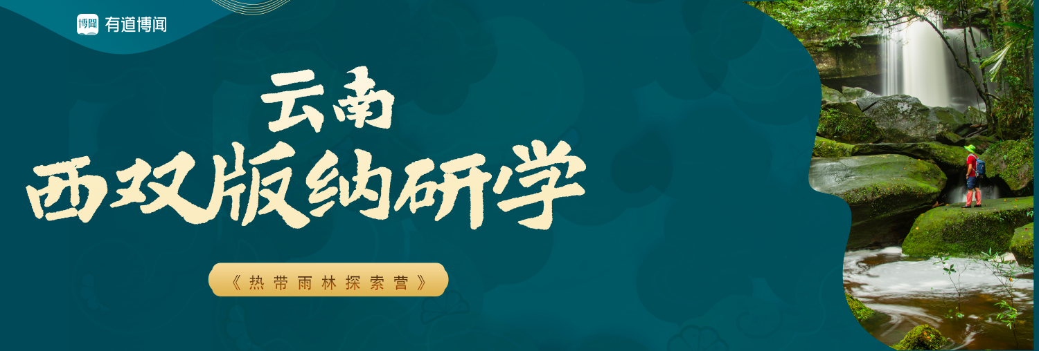 云南-西双版纳自然亲子营
